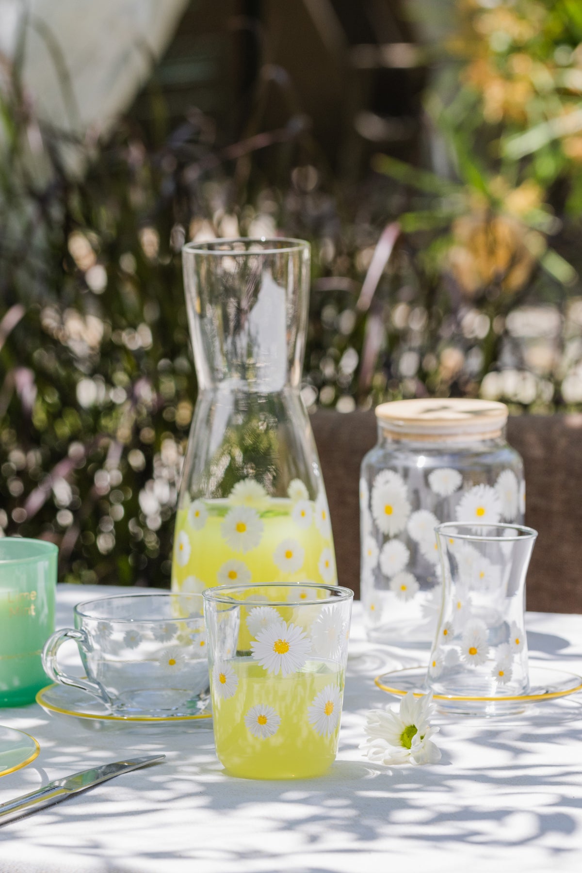 Fiona 4'lü Su Bardağı Seti 315 cc