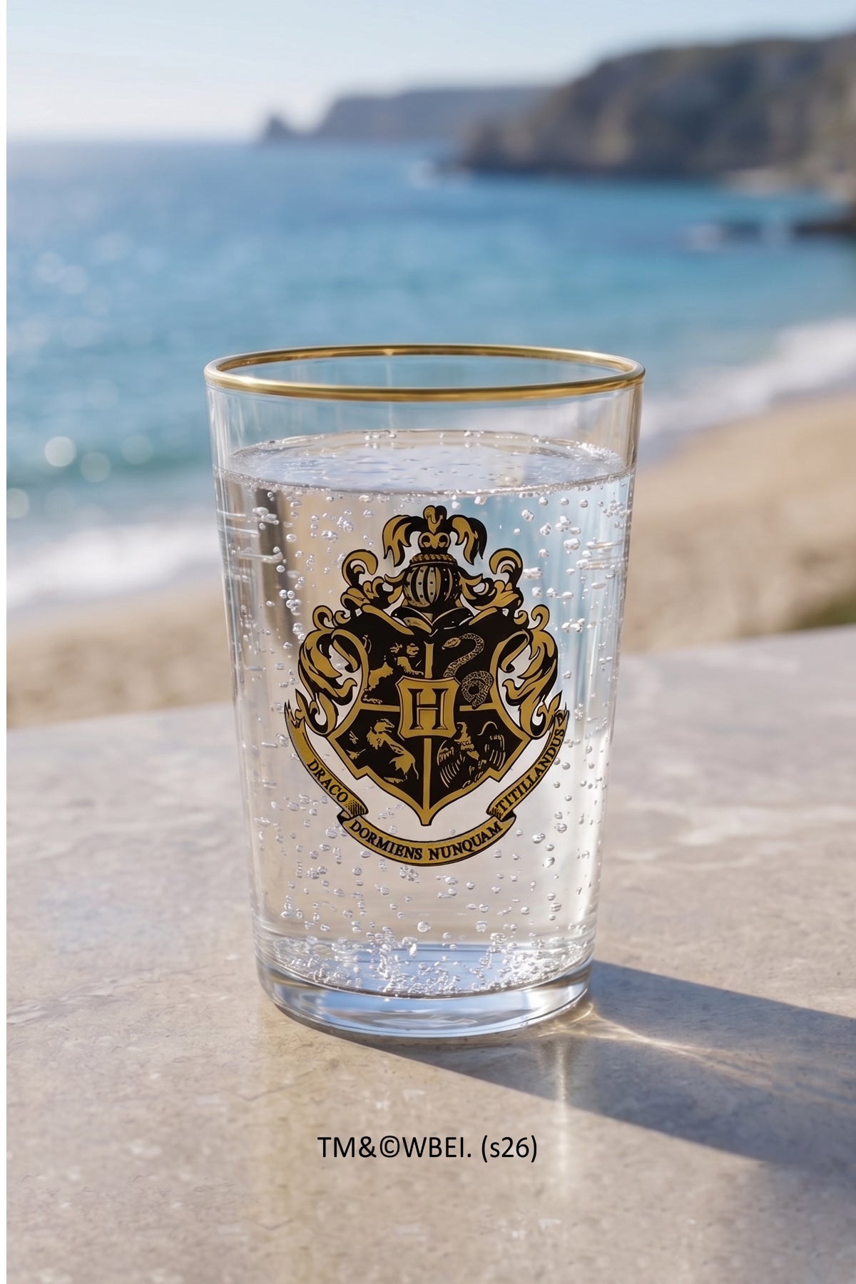 Hogwarts 2'li Meşrubat Bardağı Seti 510 cc