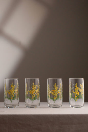 Mimosa 4'lü Meşrubat Bardağı Seti 365 cc