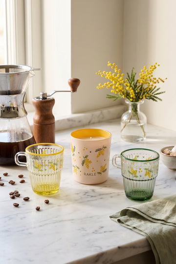 Mimosa Stackable 3'lü Hediye Seti 120 cc / 110 gr