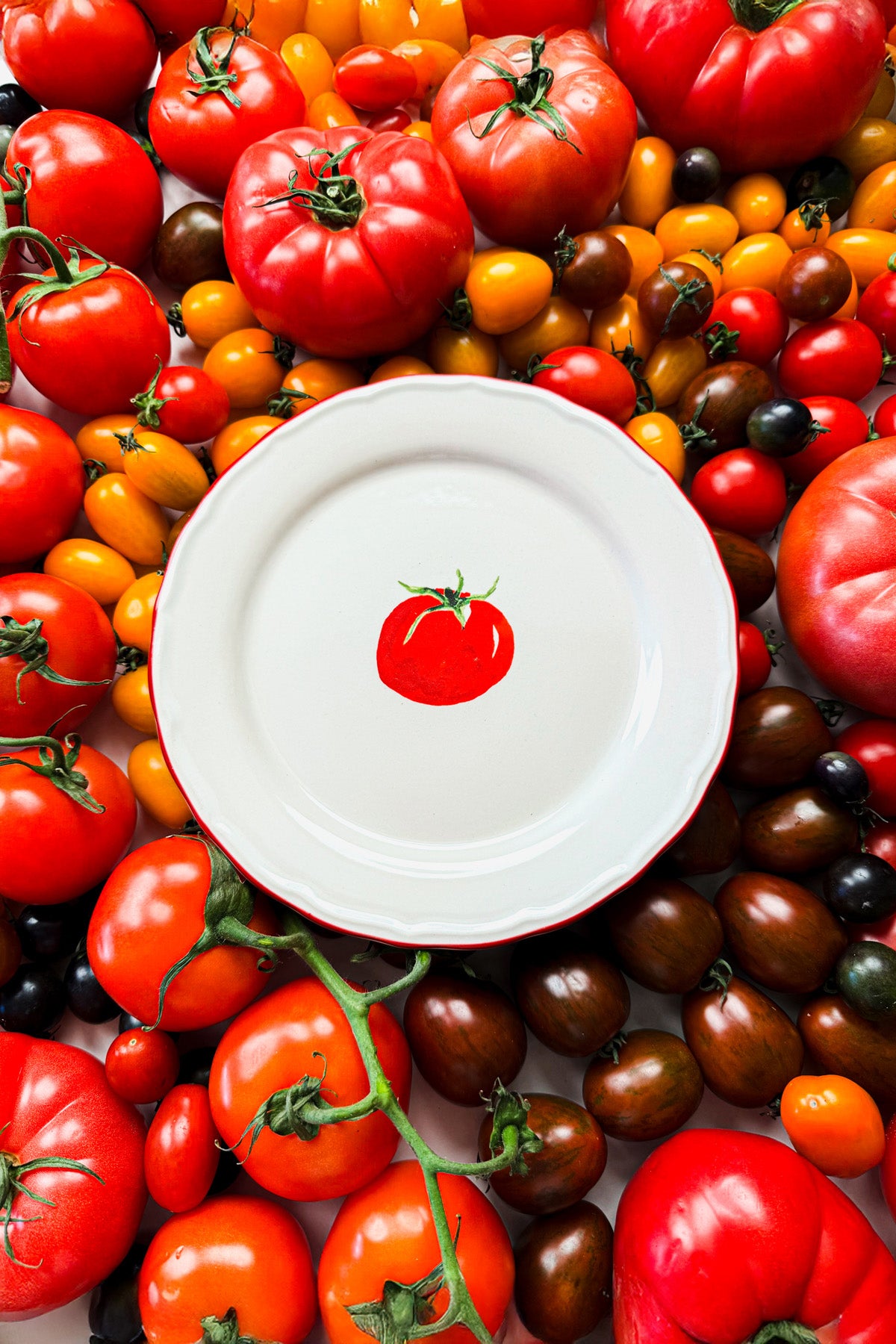 Pomodoro Stoneware 4'lü Pasta Tabağı Seti 21 cm