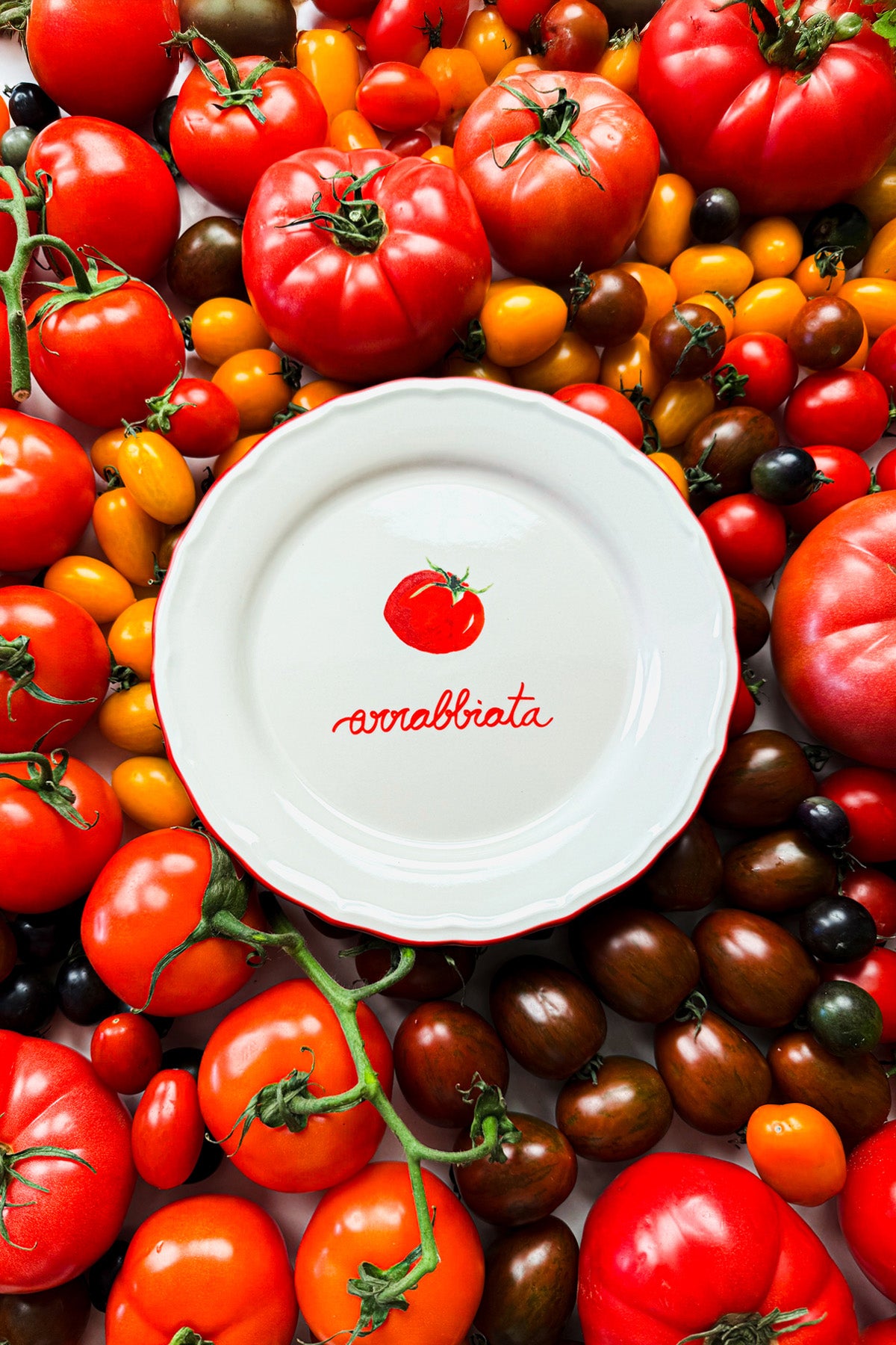 Pomodoro Stoneware 4'lü Meze Tabağı Seti 21 cm