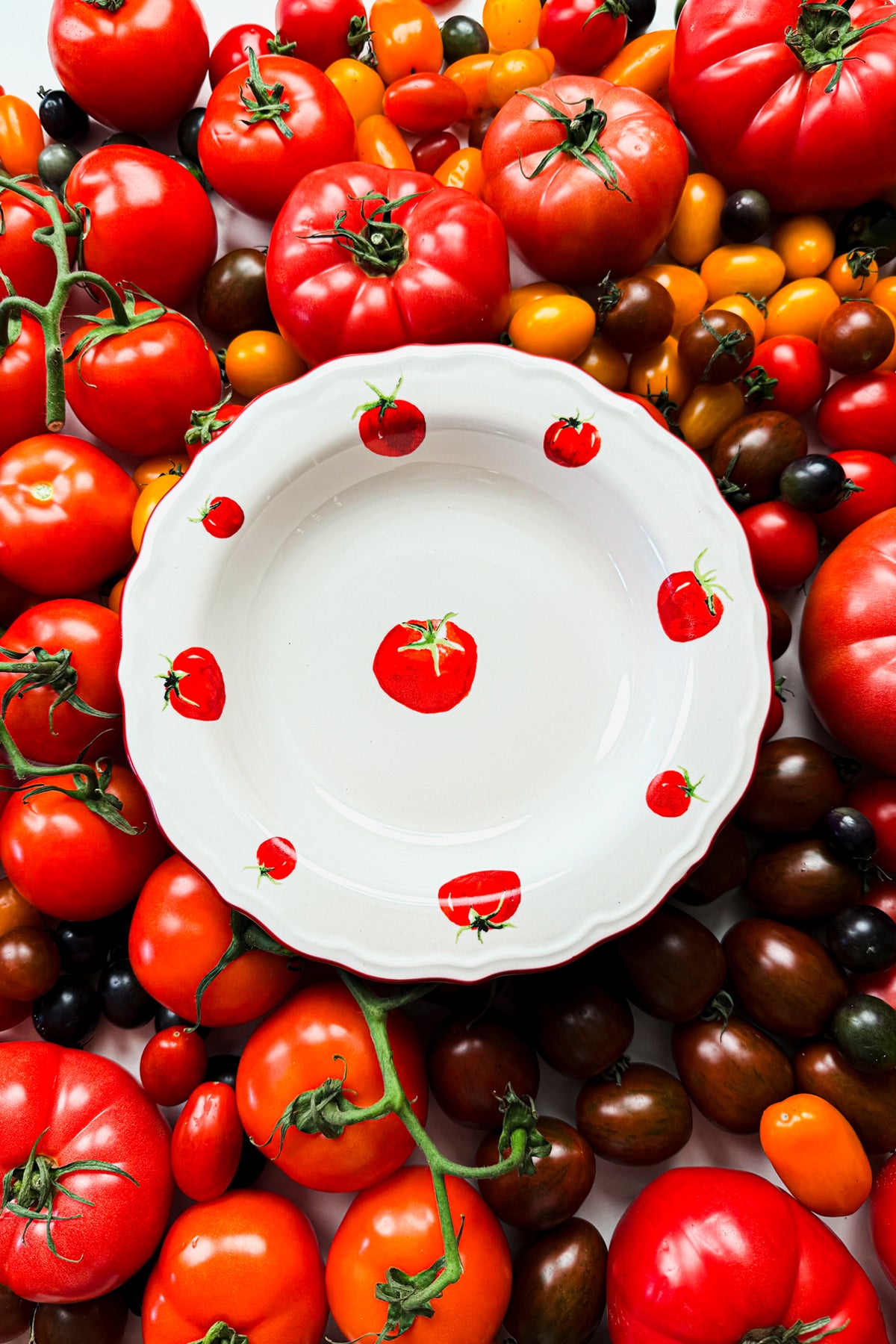 Pomodoro Stoneware 4'lü Yemek Tabağı Seti 23 cm