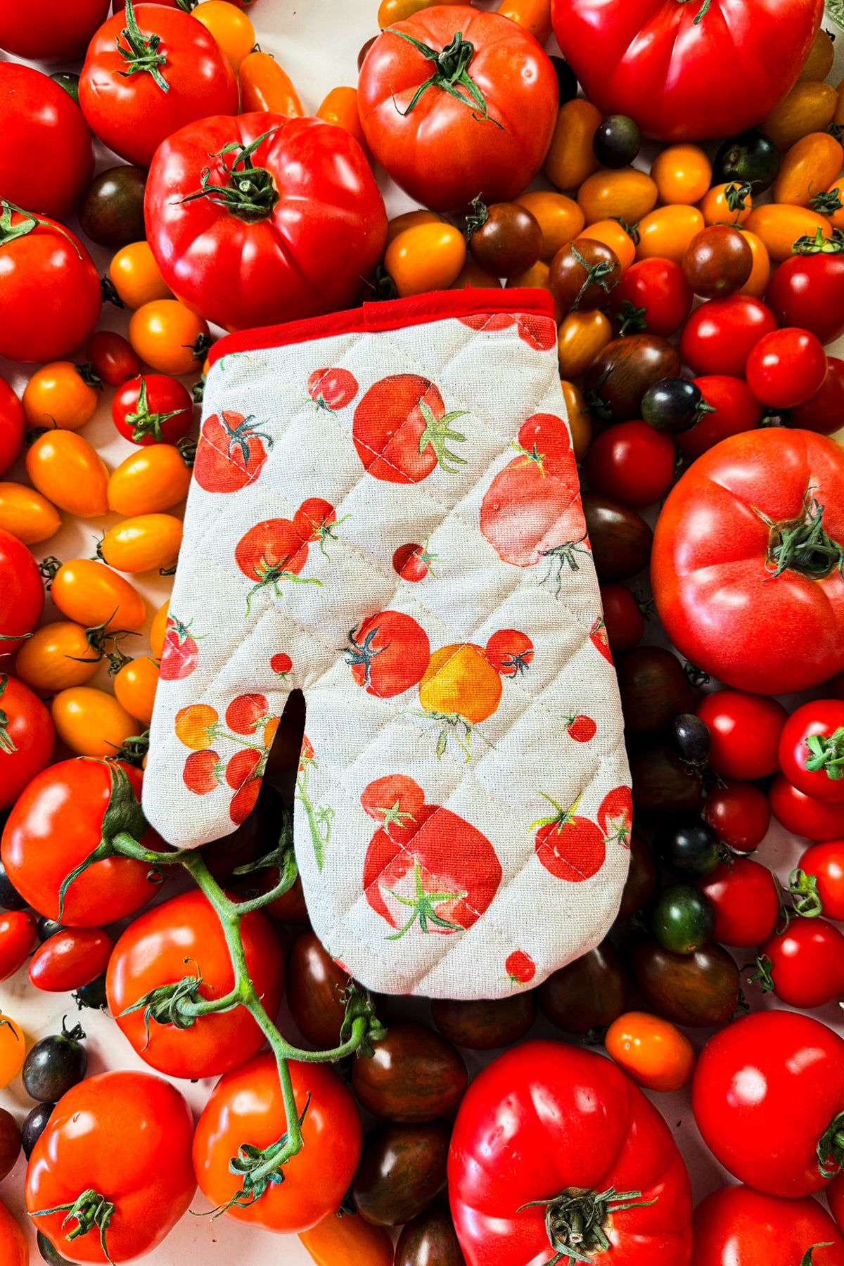 Pomodoro Fırın Eldiveni ve Tutacak Seti