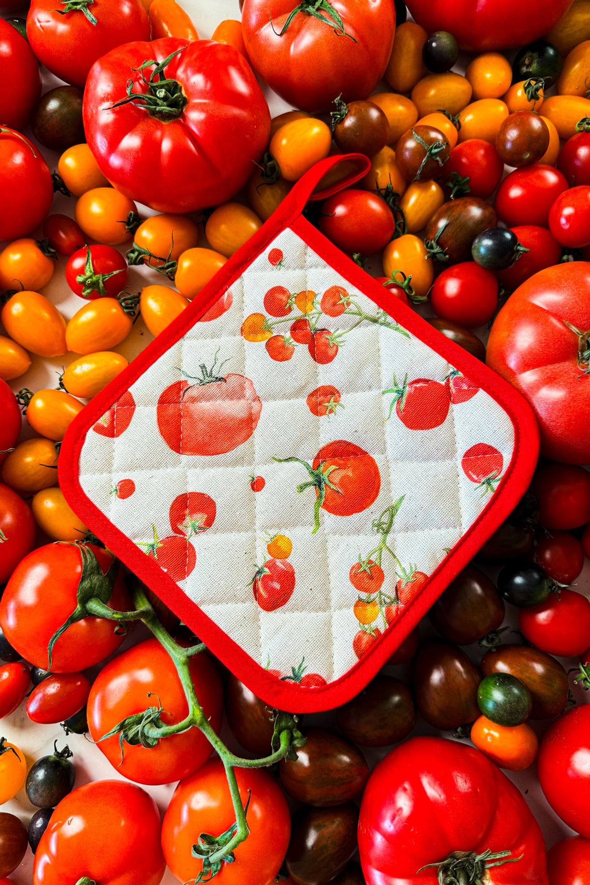 Pomodoro Fırın Eldiveni ve Tutacak Seti